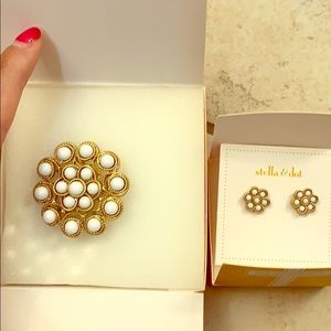 Stella & Dot Paradise brooch with earrings
